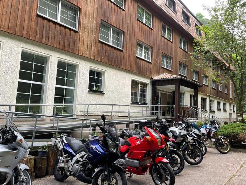 Waldhotel Harz Ilsenburg Dış mekan fotoğraf